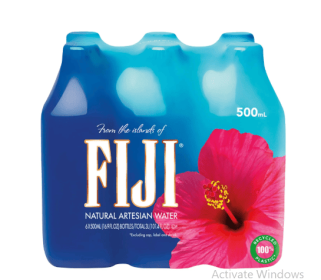 FIJI Natural Artesian Water, 16.9 fl. oz. (Pack of 6 Bottles)